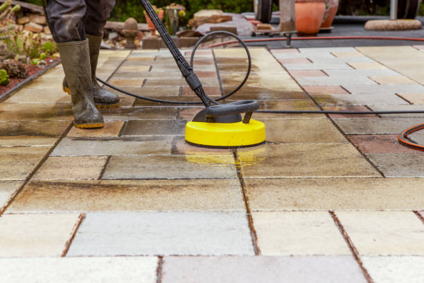 Animal Enclosure Cleaning in Thorndale, PA